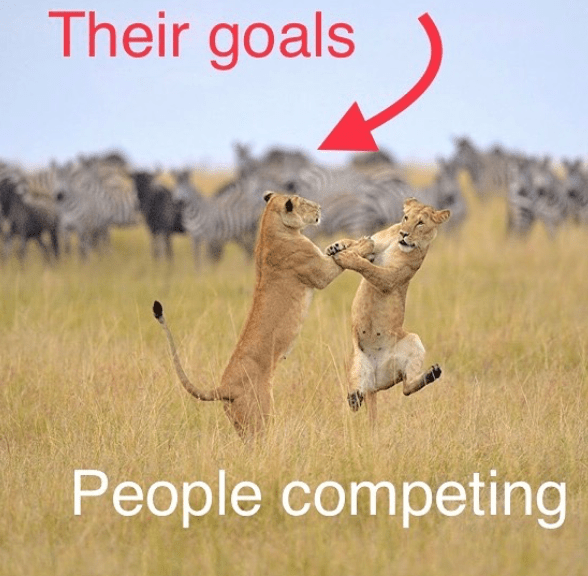 Screenshot 2019-11-30 at 19.30.57.png